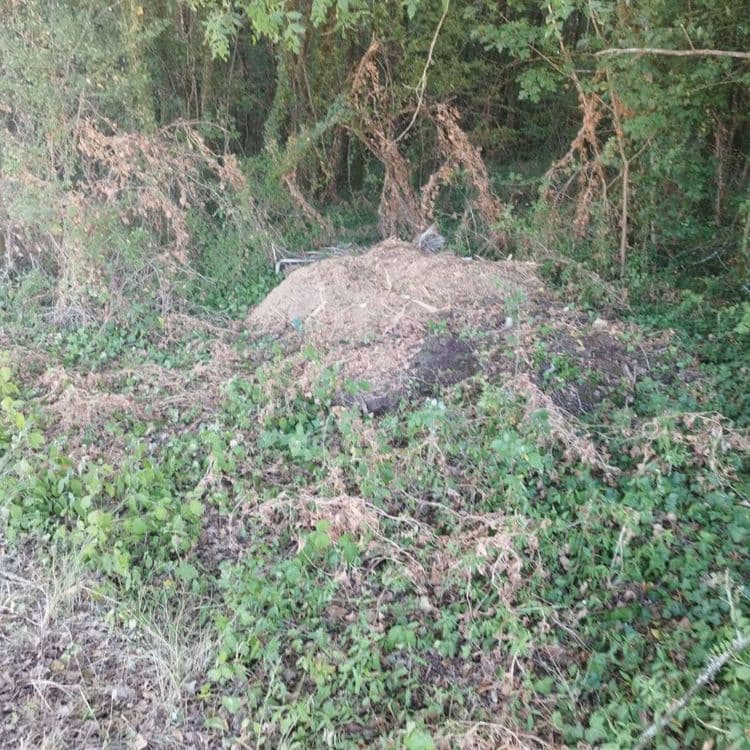Dépôt de sciure de bois et végétaux 