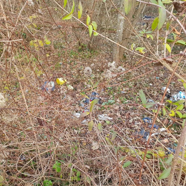 Ordure ménagère en tout genre