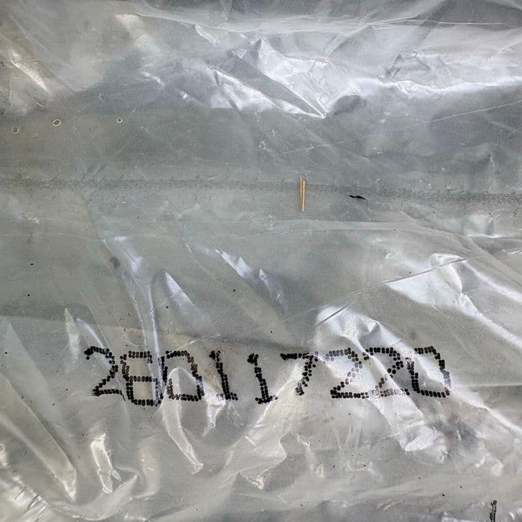 Dépôt sauvage devant mon domicile sac poubelle avec crottin de cheval 
