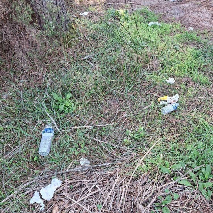 Déchets,  bouteilles plastiques, canettes, papier....c'est dégueulasse !