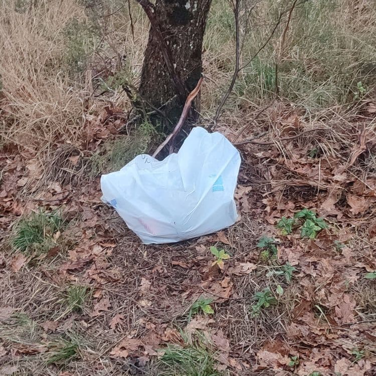 Sac poubelle 