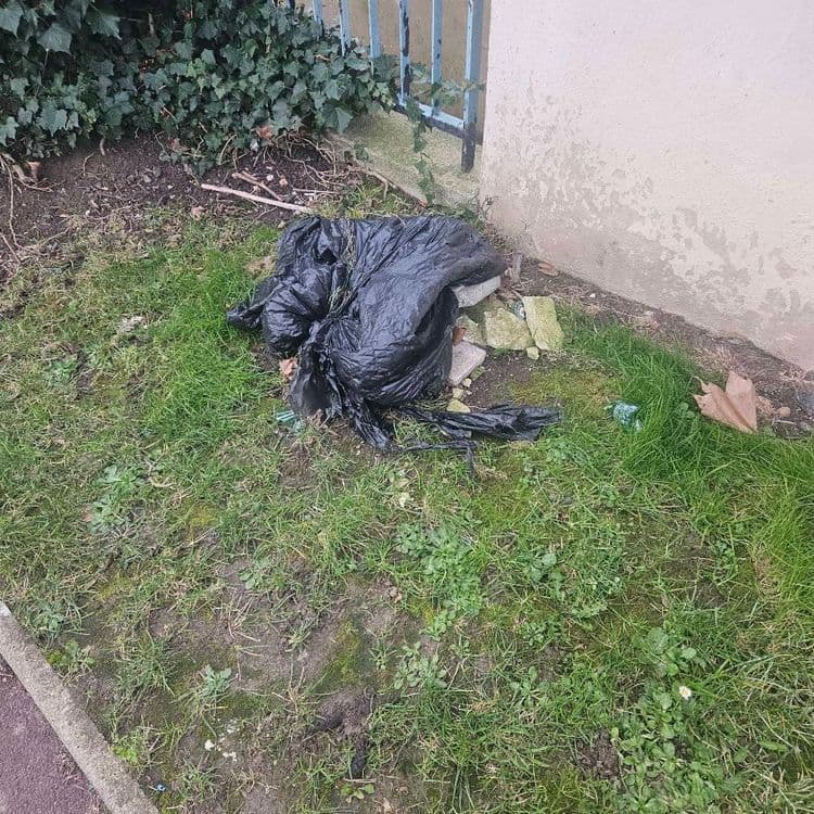 Déchet apres tempête a cause de poubelle envolé (dechet dans toute la rue dans les buissons partout éparpillé) [besoin de 4 a 5 sacs pour tout nettoyé...]