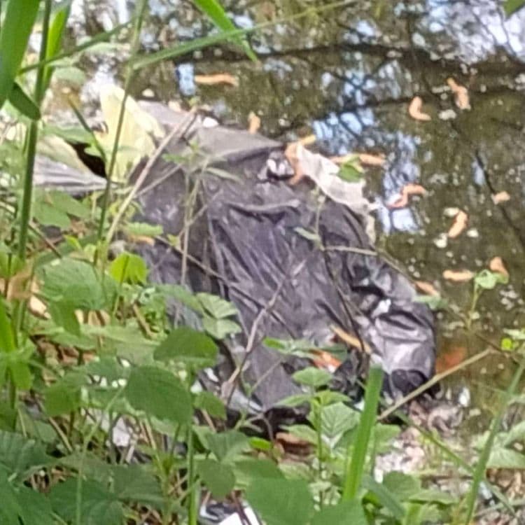 Sacs poubelles abandonnés au bord d'un ruisseau 