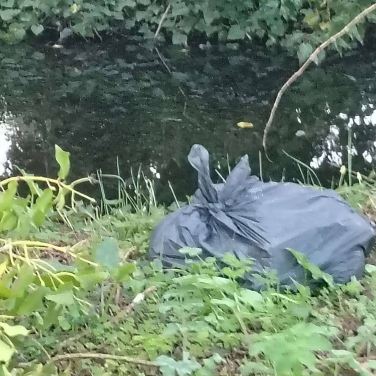 Sdf domicilié sur place, aperçu les forces de l'ordre allé dans le chemin à plusieurs reprises a cause de conflits, mais pas d'intervention concernant les déchets 