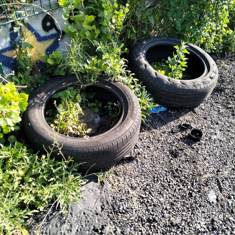 Déchets divers et pneus usagés abandonnés à proximité d'un terrain sportif 