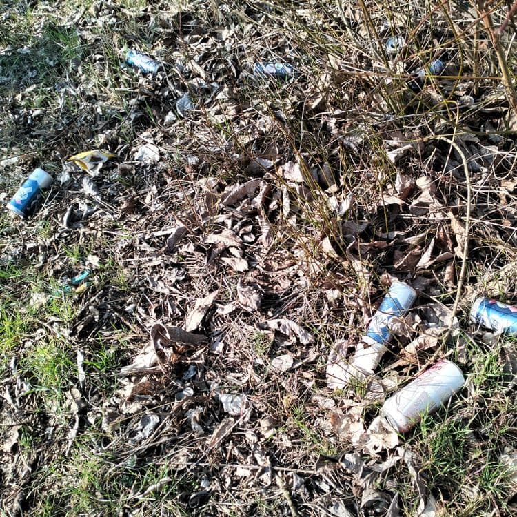 Canettes de bière jetées au bord de la route 
