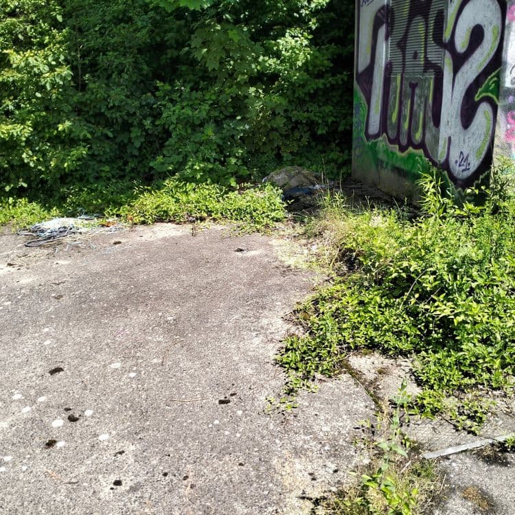 Squelette de vélo, déchets divers sur un espace entre autoroute et ruisseau 