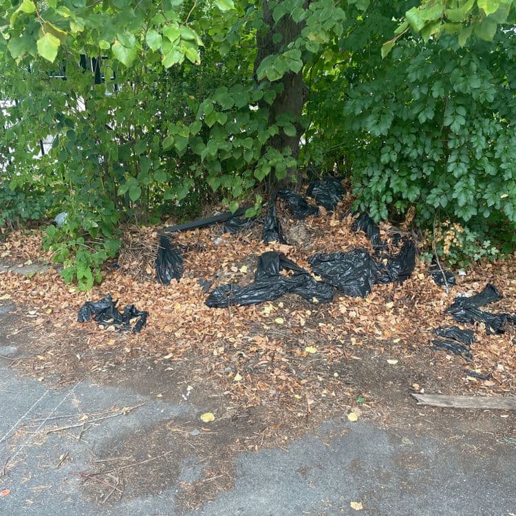 Pollution de sac poubelle 
