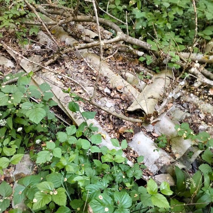 Plaques Fibro ciment aimanté et volumes verriers abandonnés en pleine forêt 