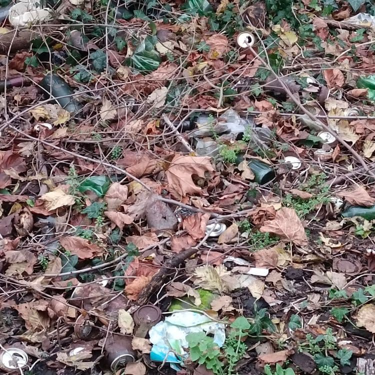 Des centaines de canettes et bouteilles en verre, batterie de voiture et déchets en tout genre 