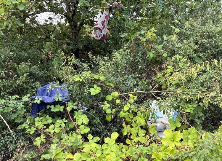 Déchets en tout genre : tapis coffre voiture, vêtements , carton , tabourets,valise , plastiques, gros tas derrière le buisson . Déchet récent !