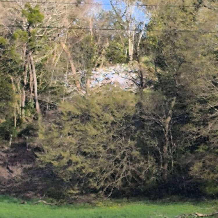 Décharge sauvage sous la ligne à haute tension près du bassin de rétention de Lormont 