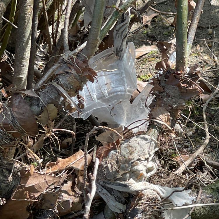 Sur la photographie, on observe la présence de plusieurs types de déchets abandonnés. On distingue des fragments de plastique transparent rigide, potentiellement issus d'emballages ou de contenants divers, pour un poids estimé à environ 0,2 kg et une quantité d'environ 3 morceaux. On remarque également des éléments de plastique souple, probablement des films ou des sacs, représentant un poids d'environ 0,1 kg pour environ 2 fragments. Enfin, des débris de textiles dégradés sont visibles, avec un poids estimé à 0,3 kg et une quantité d'environ 2 morceaux.
