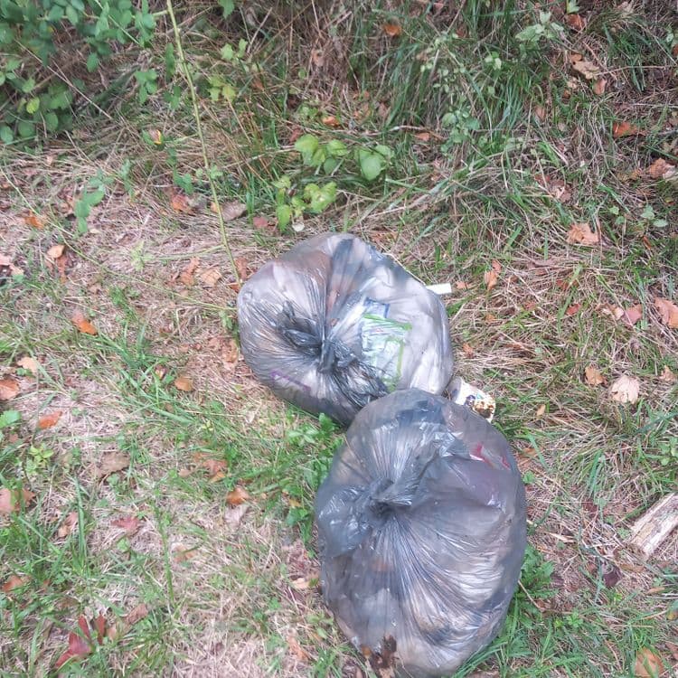 2 sacs Poubelle  dans la nature.