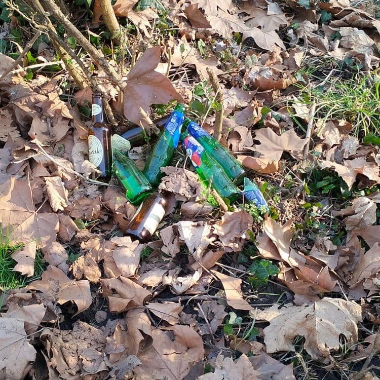 Canettes de bière jetées au bord d'un chemin forestier 
