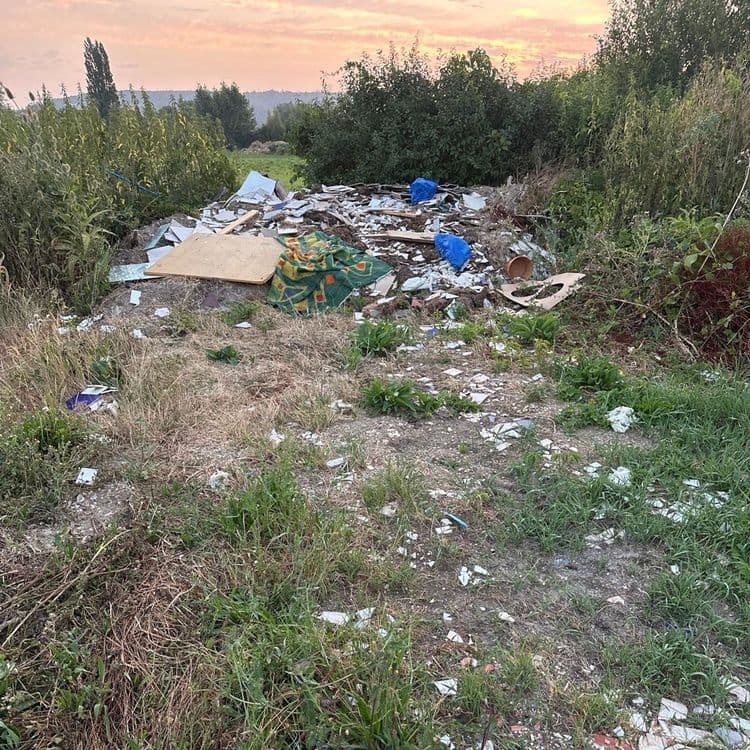 Dépôt sauvage de gravats , moquettes, tapis etc dans une zone de marais sous APPB et classée ENS 