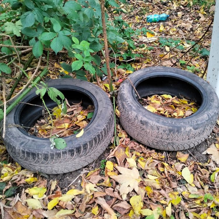Deux pneus usagés au bord de la route et d'un bois 