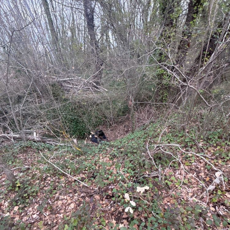 Liste des déchets observés :

Déchets divers : il s’agit de nombreux petits débris végétaux (branches, feuilles mortes, etc.) accumulés au sol, dans la végétation et sur le tas de bois.  Le poids estimé est de 50 kg, représentant une accumulation d’environ 1 m³.

Déchet plastique noir : Un objet en plastique noir, de taille et de forme indéterminée, est partiellement visible sous la végétation.  Son poids est estimé à 2 kg.


Déchet potentiel : Un élément blanc, de petite taille, est aperçu brièvement parmi les branches. Il est difficile de déterminer le type de déchet et le poids.  Une investigation plus poussée serait nécessaire.

