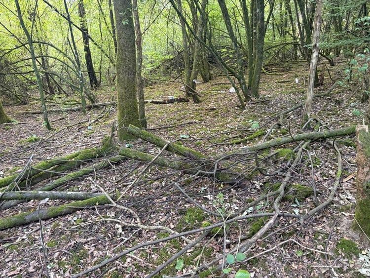 Camp de sans abri