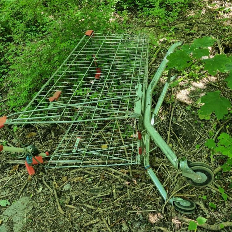 Caddies cassés er abandonnés a plusieurs endroits du parc