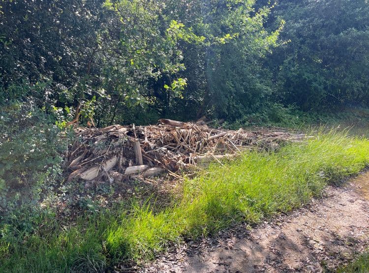 Tronc de palmiers en dépôt sauvage et gravats plus loin. Visiblement un champs était la victime précédente et la barrière installée provoque le dépôt à côté du chemin