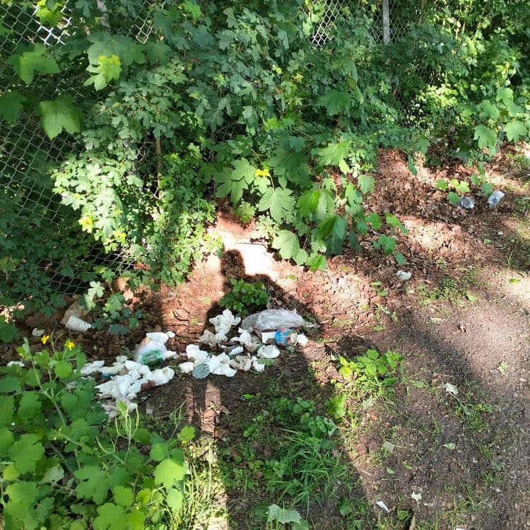 Déchets divers abandonnés au bord d'une route 