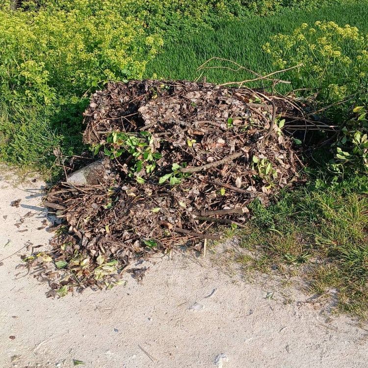 Dechets verts