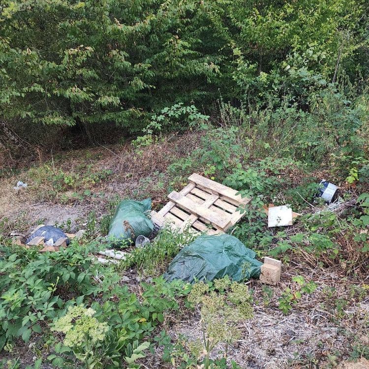 Sacs plastiques et bois 

Angle route de la Biche et route forestière des Chapelles
