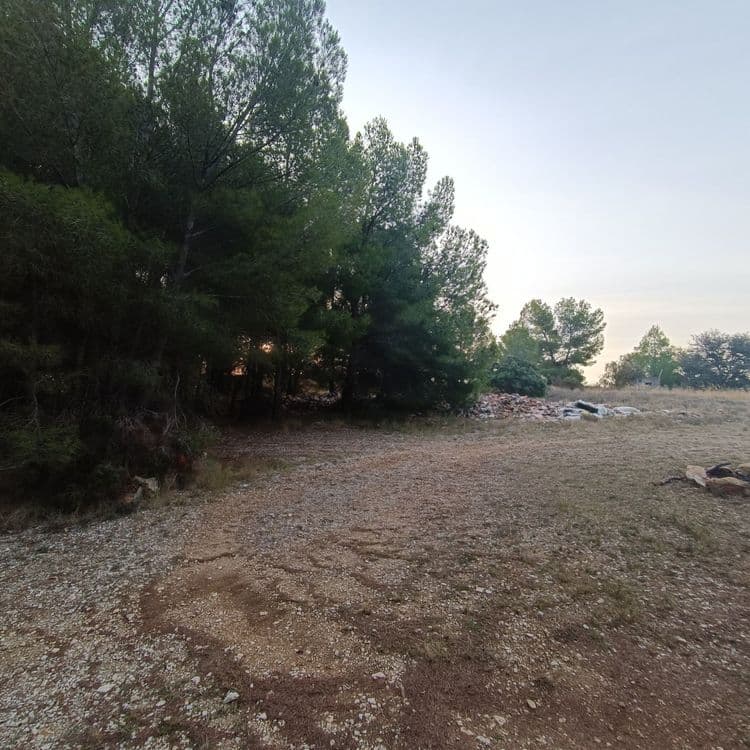 L'analyse révèle la présence des types de déchets suivants :

*   **Débris de construction et de démolition**: Principalement composés de fragments de tuiles, de briques rouges concassées et de morceaux de béton. On estime la quantité à environ 200 kg.

*   **Déchets plastiques divers** : Une variété de plastiques est présente, incluant des fragments de plastiques blancs, dont la quantité est estimée à 5 kg.

*   **Pneumatique usagé**: Un pneu de voiture abandonné sur le site. Son poids est estimé à 10 kg.

*   **Divers** : Sont présents également des petits éléments divers comme des blocs de polystyrène, des petits morceaux de bois et des débris non identifiés, représentant environ 10 kg.
