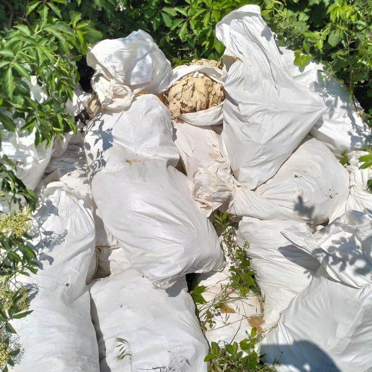 Sacs plastiques remplis de déchets divers abandonnés dans des fourrées sur un chemin entre les champs 
