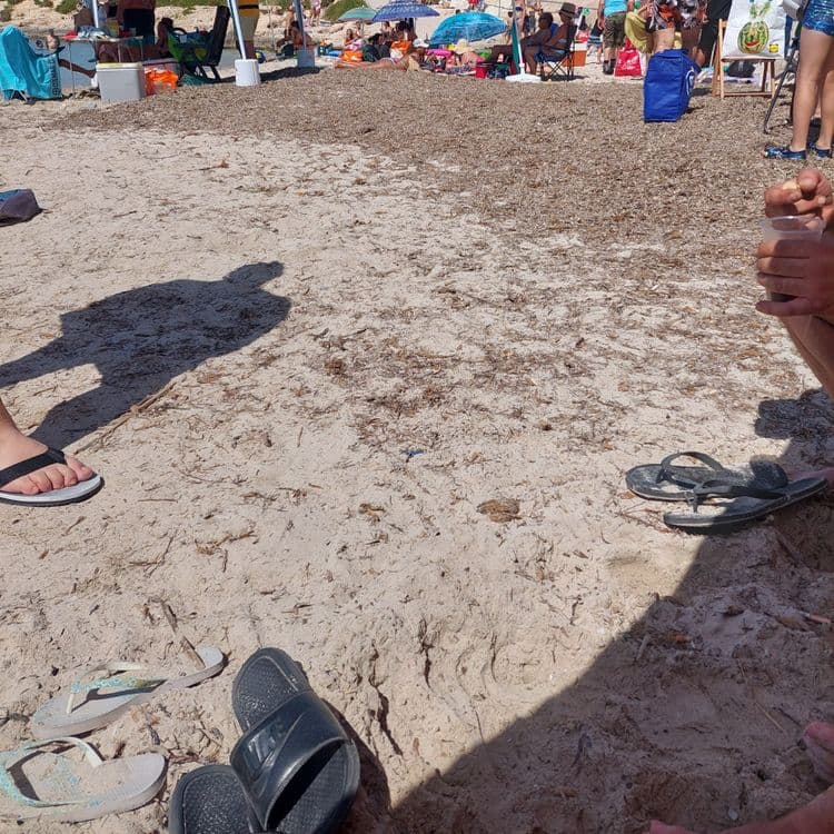 There is a lot of seaweed on the sand