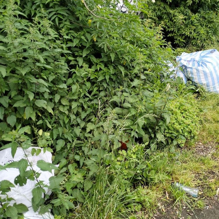 Sacs et déchets divers au bord de la route 