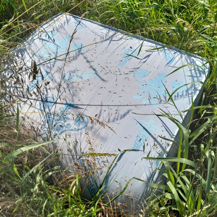 Matelas dans l'herbe 