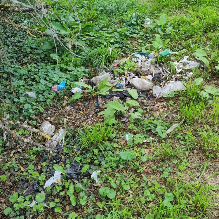 L'image révèle une accumulation de déchets variés comprenant principalement des plastiques (bouteilles, emballages divers, sacs), du papier et des restes d'emballages alimentaires. Une estimation des quantités et du poids associé peut être établie comme suit :

Plastiques : Environ 5-7 bouteilles en plastique, divers emballages et fragments (environ 1 kg). La présence de quelques sacs en plastique ajoute environ 200-300g.

Papiers et emballages alimentaires : Une quantité éparpillée de papiers, cartons et emballages divers peut être estimée à environ 500g.

Autres déchets : D'autres types de déchets non précisément identifiables sur l'image pourraient peser environ 200-300g.
