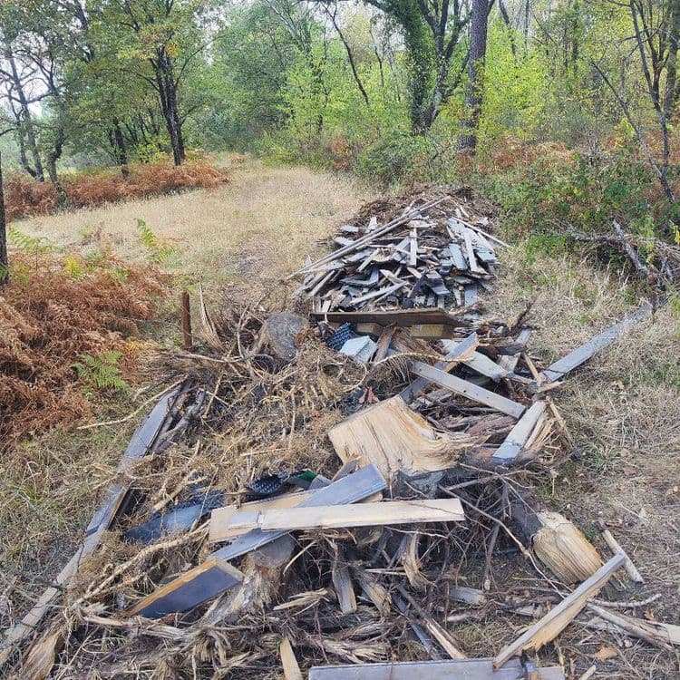 Les déchets abandonnés sont les suivants :

*   **Déchets verts et bois brut** : Il s'agit principalement de branches, de souches et de racines. La quantité est estimée à un volume d'environ 3 à 4 mètres cubes, avec un poids approximatif de 250 kilogrammes.
*   **Bois de construction et planches** : Des planches de bois scié, des morceaux de chevrons et d'autres éléments de bois transformé sont présents. On dénombre une soixantaine à une centaine de pièces, pour un poids estimé à 120 kilogrammes.
*   **Bardeaux ou ardoises de toiture** : Une pile importante de petits éléments plats et sombres, ressemblant à des bardeaux bitumés ou des ardoises synthétiques. Le nombre de pièces est estimé à plusieurs centaines, représentant un poids d'environ 180 kilogrammes.
*   **Débris divers** : Quelques éléments non identifiables avec précision, pouvant inclure de petits morceaux de plastique ou de métal, sont mélangés dans le tas. La quantité est très faible, pour un poids estimé à moins de 5 kilogrammes.