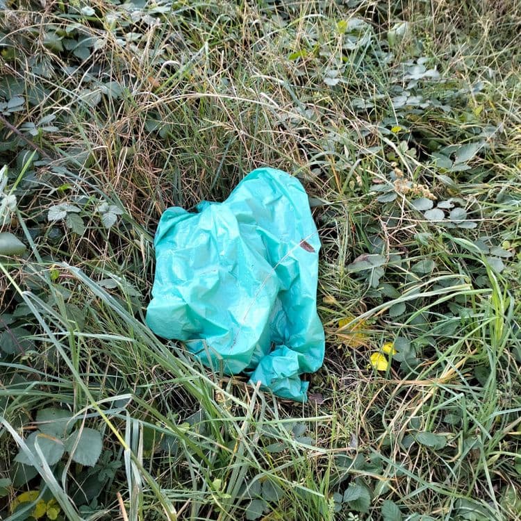 Deux pneus usagés et un sac plastique abandonnés sur un chemin au bord de la forêt 