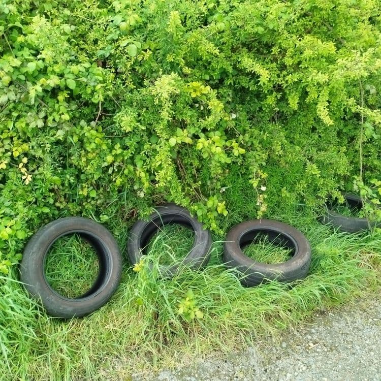 4 pneus en bord de chemin, à proximité de la route 