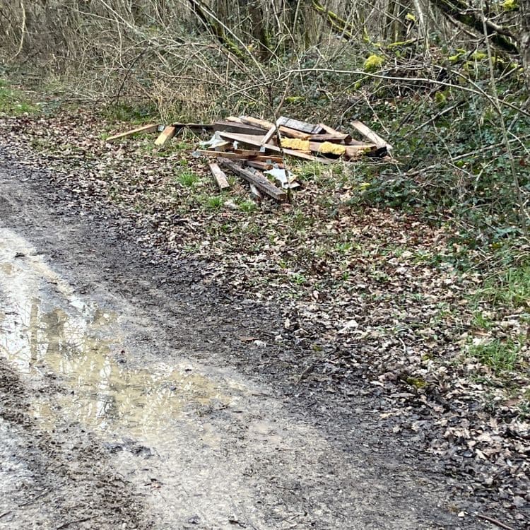 Déchets abandonnés :

Bois de construction : Il s'agit principalement de morceaux de bois de différentes dimensions, apparemment provenant de la déconstruction d'une structure.  On estime la quantité à environ 1,5 mètres cubes, soit un poids approximatif de 300 à 400 kg, en fonction de l'essence du bois et de son humidité.

Déchets divers :  Quelques petits débris non identifiables précisément sont mélangés au bois. Leur poids total est négligeable, estimée à moins de 5 kg.


Total estimé : 305 à 405 kg.
