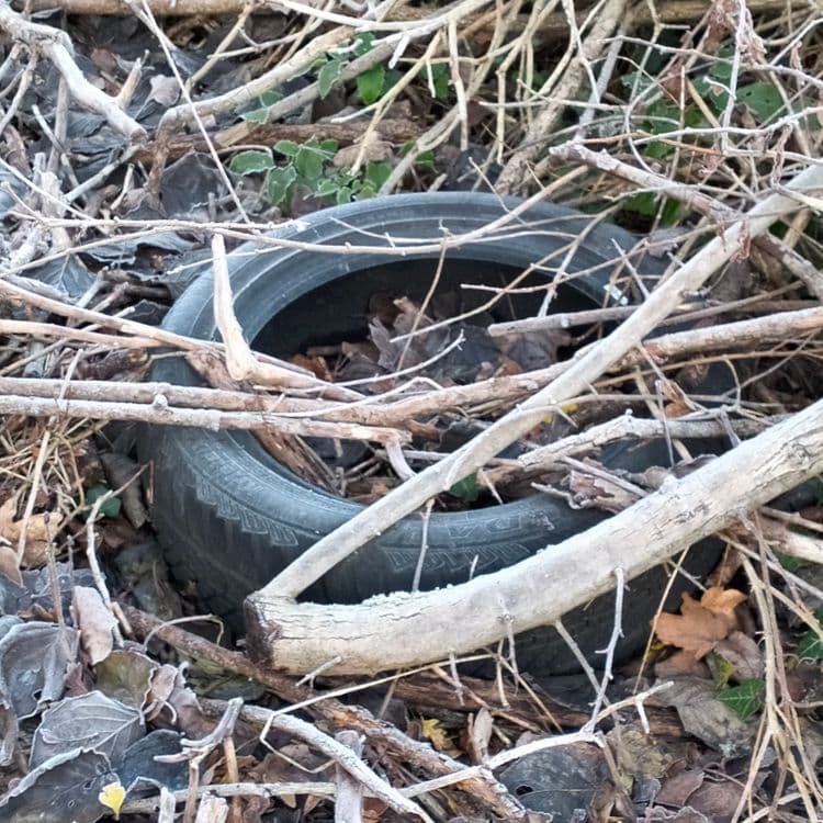 Pneu usagé abandonné dans la forêt 