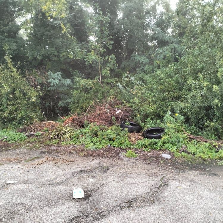 Deux pneus usagés abandonnés sur un parking public 