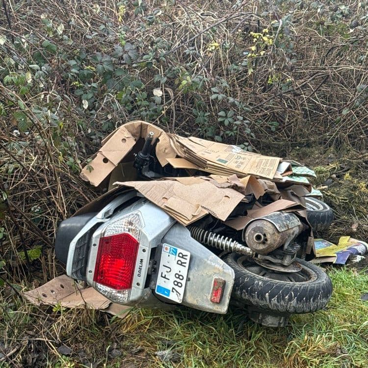 Scooter carton