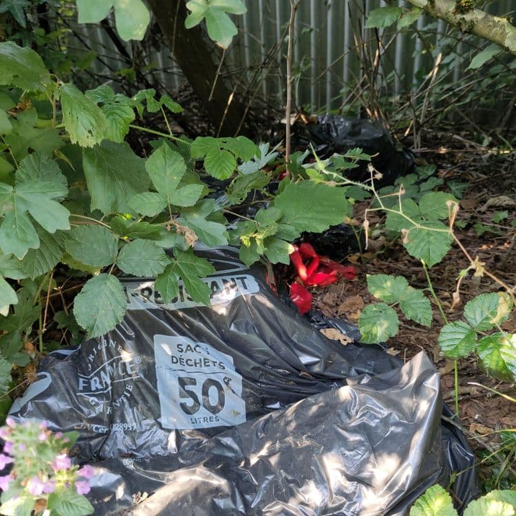 Sacs poubelles jetés dans un buisson d'arbres en bas du champ Têtu (château de Fleyriat)