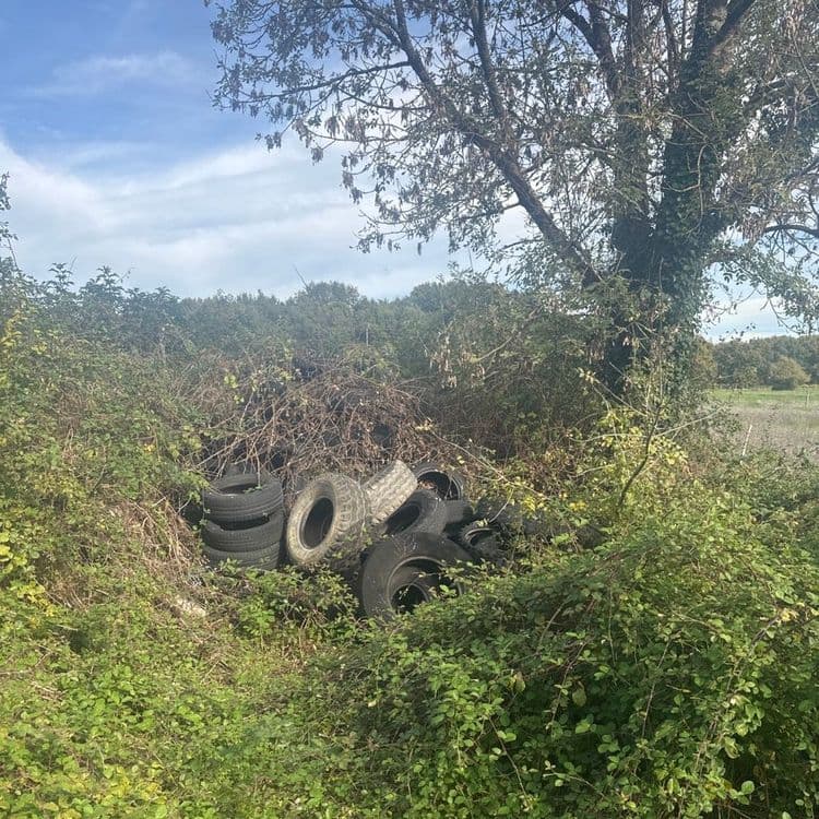Analyse des déchets présents sur la photo :

Plusieurs pneus usagés ont été illégalement déposés. On peut estimer la quantité à une douzaine d'unités, pour un poids total d'environ 200 kilogrammes, en considérant un poids moyen de 15 à 20 kilogrammes par pneu.

