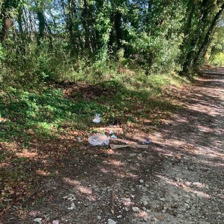 Nous avons constaté ce dépôt sauvage pendant notre promenade .