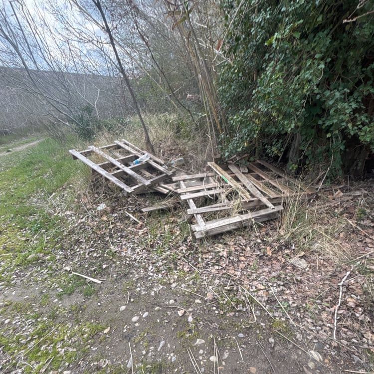 Déchets observés :

* **Palettes en bois :**  Il y a deux palettes en bois brisées.  Compte tenu de leur état et de la taille apparente, on peut estimer leur poids total à environ 25 kg.  La quantité est de deux palettes.

* **Plastique :** On observe au moins deux bouteilles en plastique. Leur poids total est estimé à 0,5 kg. La quantité est de deux bouteilles.

* **Débris végétaux :** Une quantité importante de feuilles et de brindilles sont mélangées aux palettes.  Il est difficile d’estimer précisément le poids, mais on peut supposer entre 5 et 10 kg.  La quantité est indéterminée.


Il est important de noter que ces estimations sont approximatives et basées sur l’observation visuelle de la photo. Une évaluation plus précise nécessiterait une inspection sur place.
