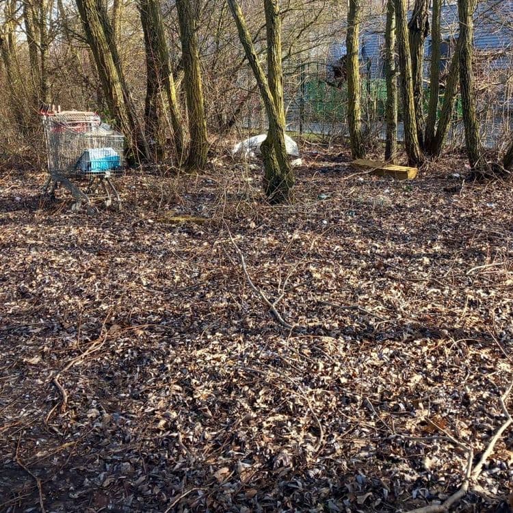 Pollution environnementale à proximité d'un plan d'eau. 