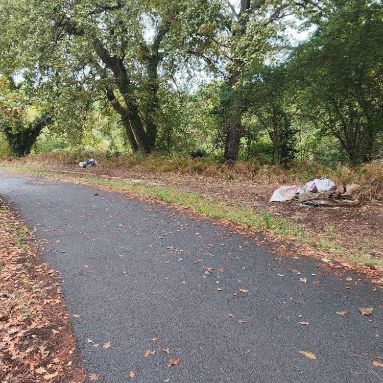 Je constate plusieurs depôs sauvages de déchets divers, en pleine flore.

