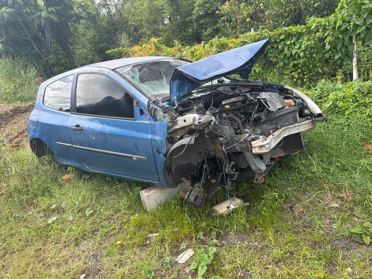 Sur la photo, il est possible d'identifier des déchets automobiles significatifs. On observe une carrosserie de véhicule accidentée, comprenant des éléments tels que le capot, des portières, et diverses pièces mécaniques (moteur, radiateur, suspensions). La quantité de débris laisse supposer un poids total d'environ 800 à 1000 kg pour l'ensemble de la carrosserie et des composants mécaniques.

De plus, on distingue des débris de verre (pare-brise brisé) estimés à environ 5 kg. Enfin, un bidon en plastique est également visible, avec un poids estimé à moins de 1 kg.
