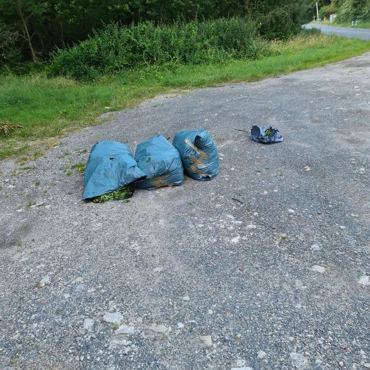 Sacs plastiques sis route de Chanteau CD101
