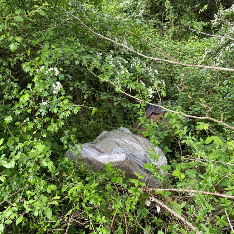Déchets un peu dans la parcelles mais accessible du chemin, film plastique et palettes.
Les déchets abandonnés identifiés sont les suivants :

*   **Film plastique transparent/grisâtre** : Une quantité importante de film plastique semble être présente, probablement issu d'emballages industriels ou agricoles. Estimation du poids : 5-10 kg. Quantité: un sac.

Au moins une palette

*   **Étiquette/Document papier** : Fragments d'une étiquette ou d'un document en papier, potentiellement liés à la traçabilité d'une marchandise.